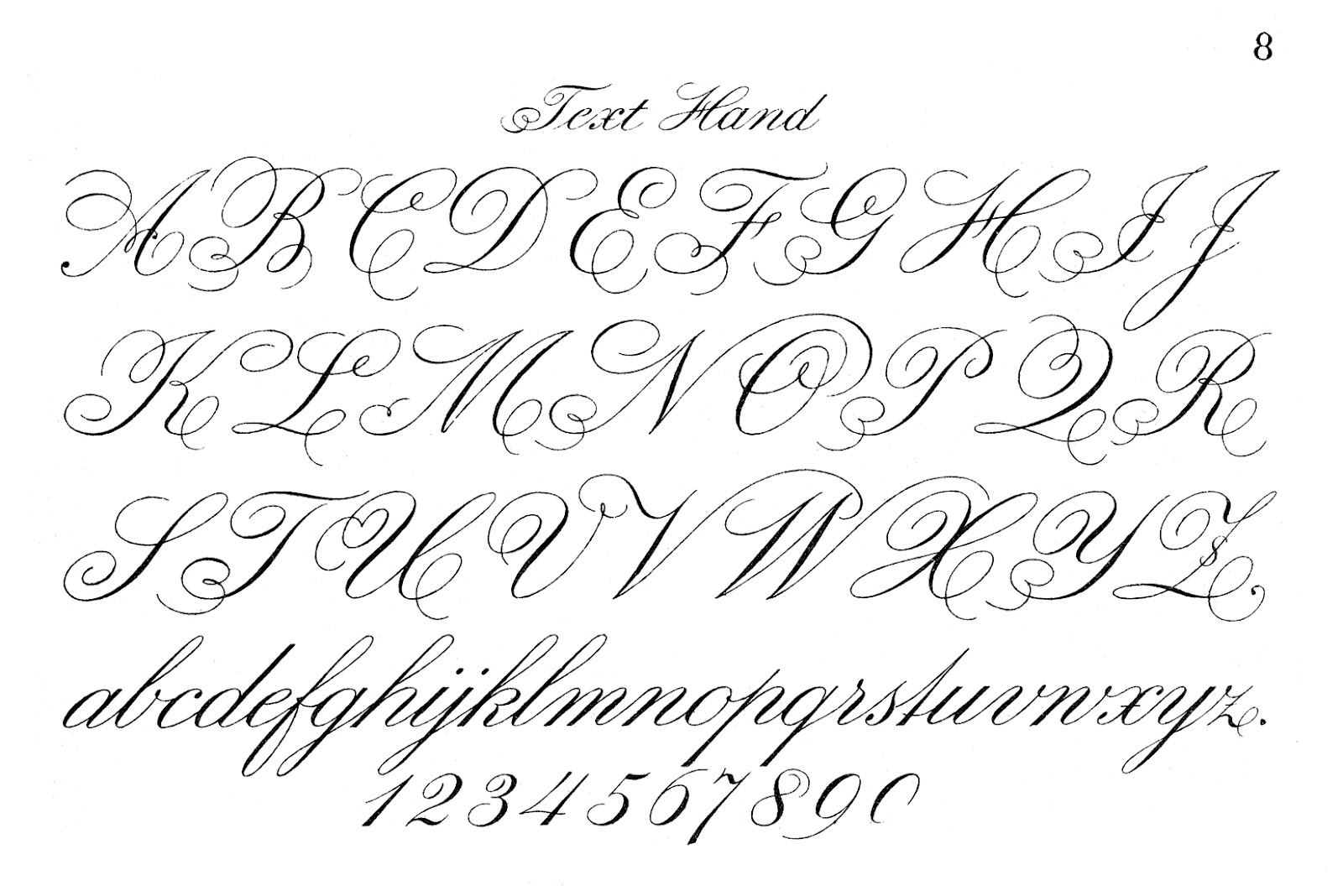 8 Old Fancy Script Fonts Images Fancy Cursive Tattoo Fonts Generator 