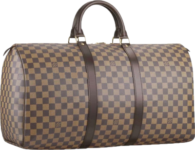 Louis Vuitton Design Transparent Bag