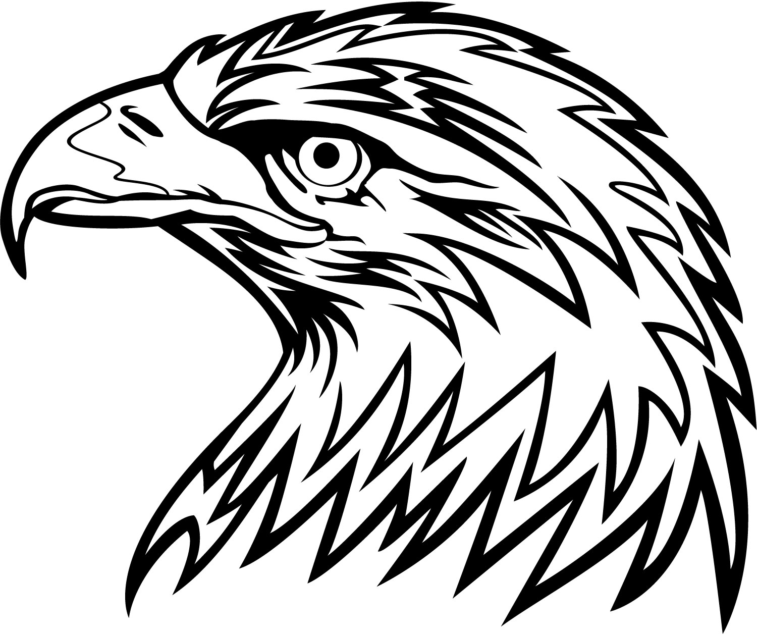 14 Vector Eagle Line Drawing Images - Line Drawing of Soaring Eagle