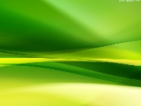 Natural Green Color Abstract