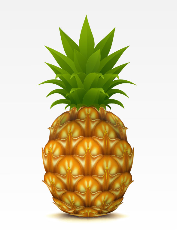 10 Photos of Pineapple Vector Pattern