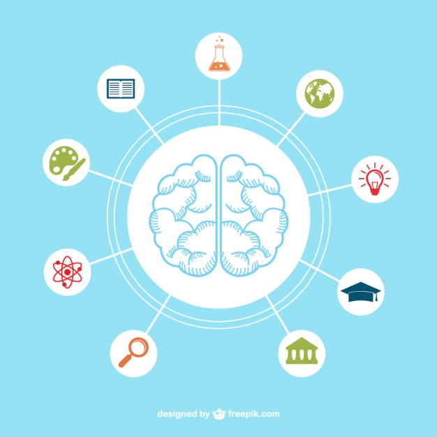 Brain Icon Vector Free