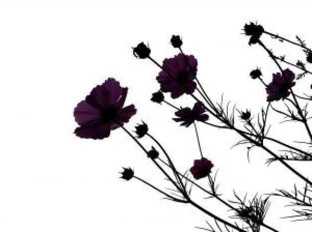 Free Vector Flowers Black