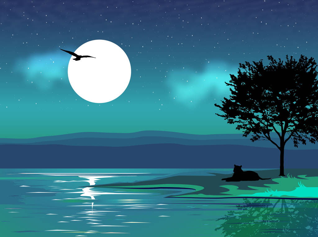 16 Night Scenery Vector Images - How to Draw Night Scene in Illustrator