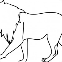 Lion Outline Drawing